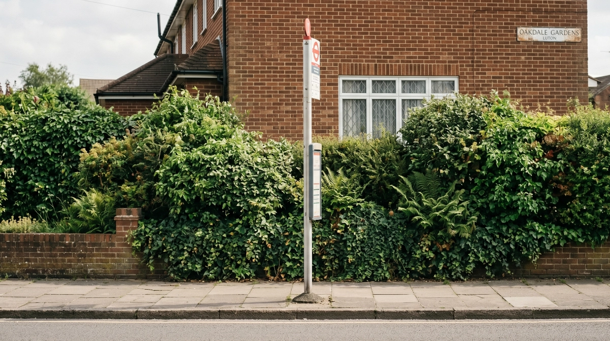 A bus stop sign on a quiet residential street, with no bus in sight, photographed from across the road